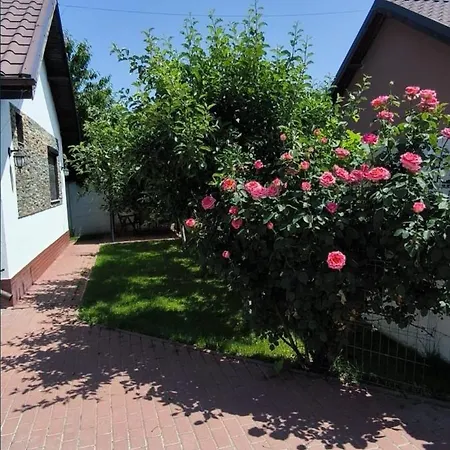 别墅 Casa Maxim - Relaxare In